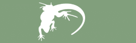 Lounge Lizard