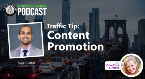 Traffic and Leads Podcast: Content Promotion with Sujan Patel