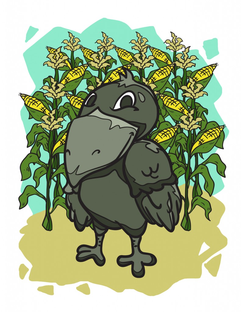 Crow grew the best corn in the county, and everybody in the area would line up to buy his sweet, crunchy, delicious corn.