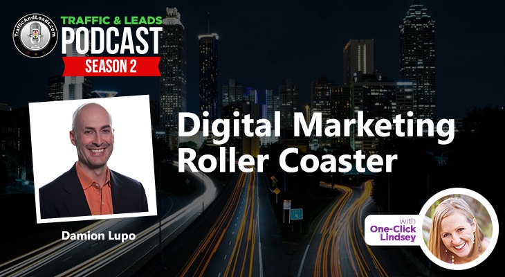 Digital Marketing Roller Coaster