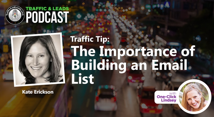 Traffic and Leads Podcast: The Importance of Building an Email List