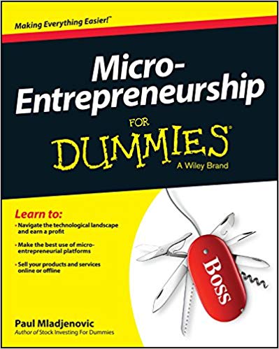 micro entrepreneurship for dummies